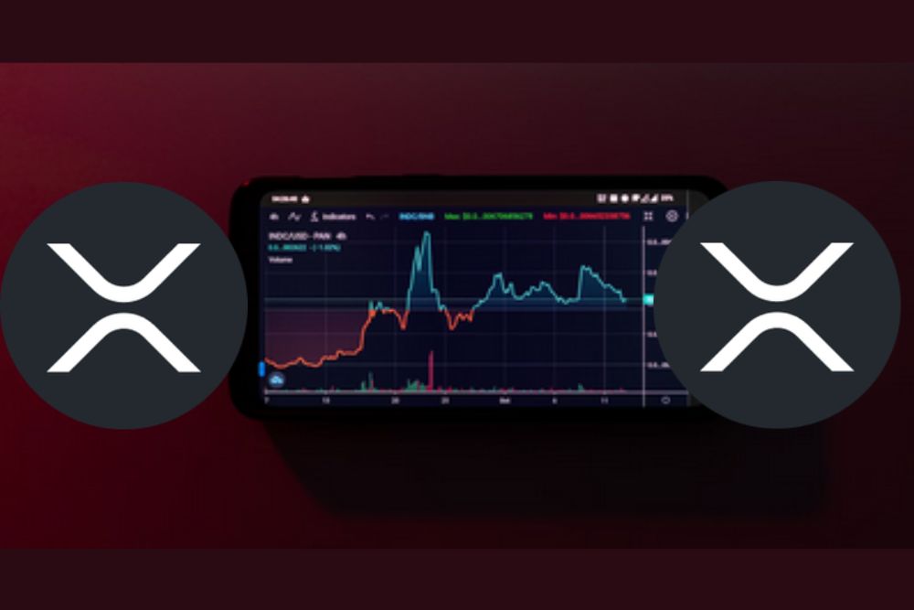 Dark Defender 致XRP持有者：这并非随机的价格波动