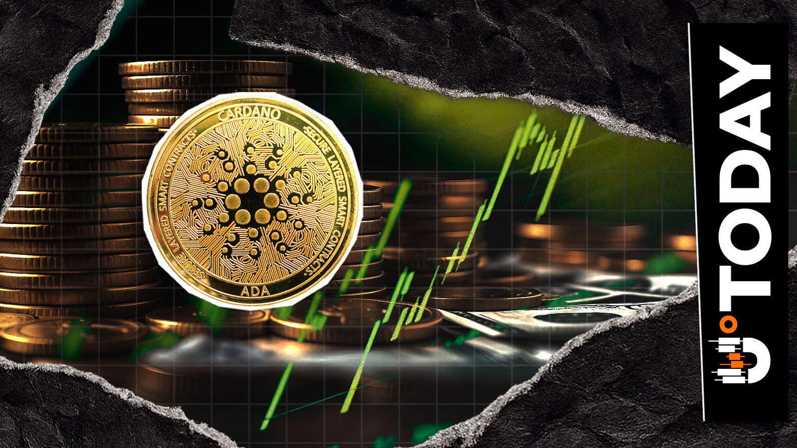 卡尔达诺（ADA）价格重回0.26美元，交易量飙升60%