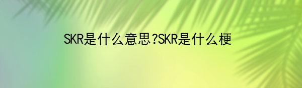SKR是啥意思-SKR是啥梗