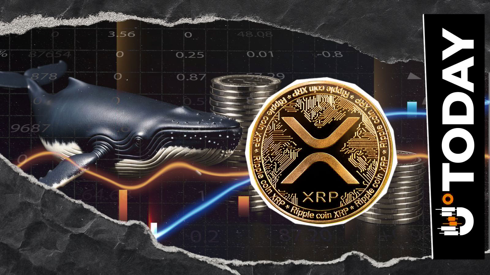 过去一周XRP价格下跌期间，巨鲸购入1.9亿枚XRP