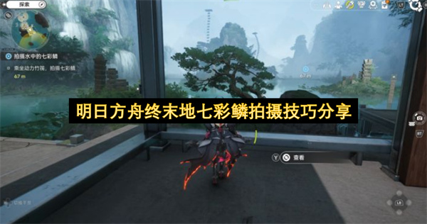 明日方舟终末地七彩鳞拍摄技巧分享