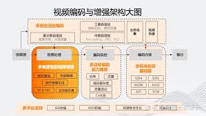 Multiphysics如何设置DV视频编码器