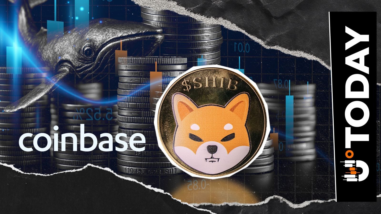顶级Shiba Inu（SHIB）巨鲸在近期领导层动态后向Coinbase存入2400亿枚代币