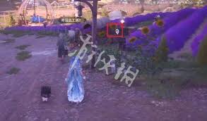 无限暖暖史丢丢大搜寻美美紫花海在哪