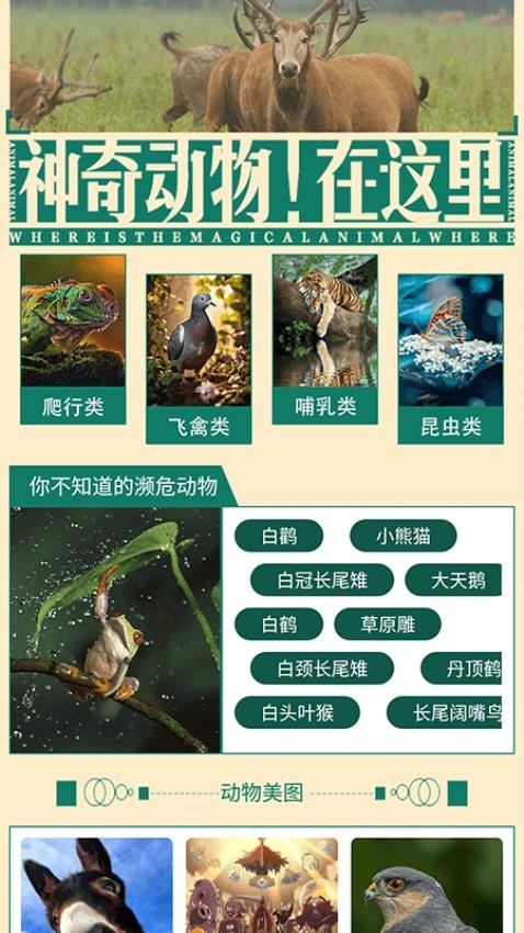 小小庄园动物养殖