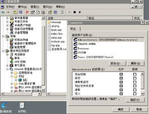 如何启用Windows Server 2003 WebClient服务