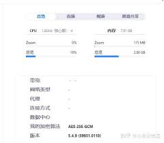 如何在zoom中查看各项统计信息