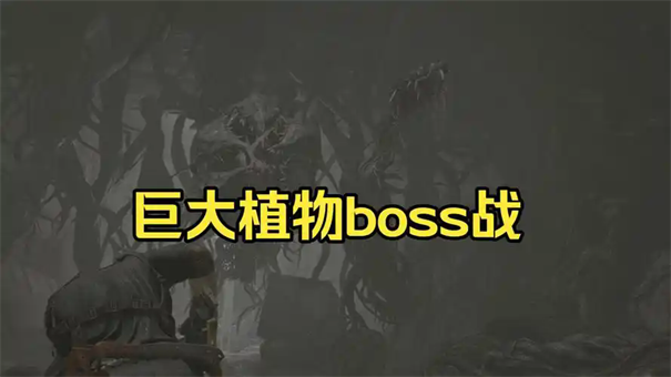 生化危机9安魂曲43号植物怎么打