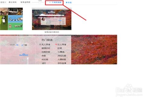b站web房间皮肤怎么设置