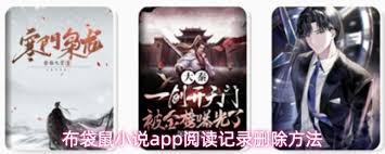 布袋鼠小说app如何调整字体