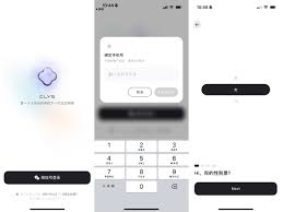 Soul输入状态异常的原因是什么