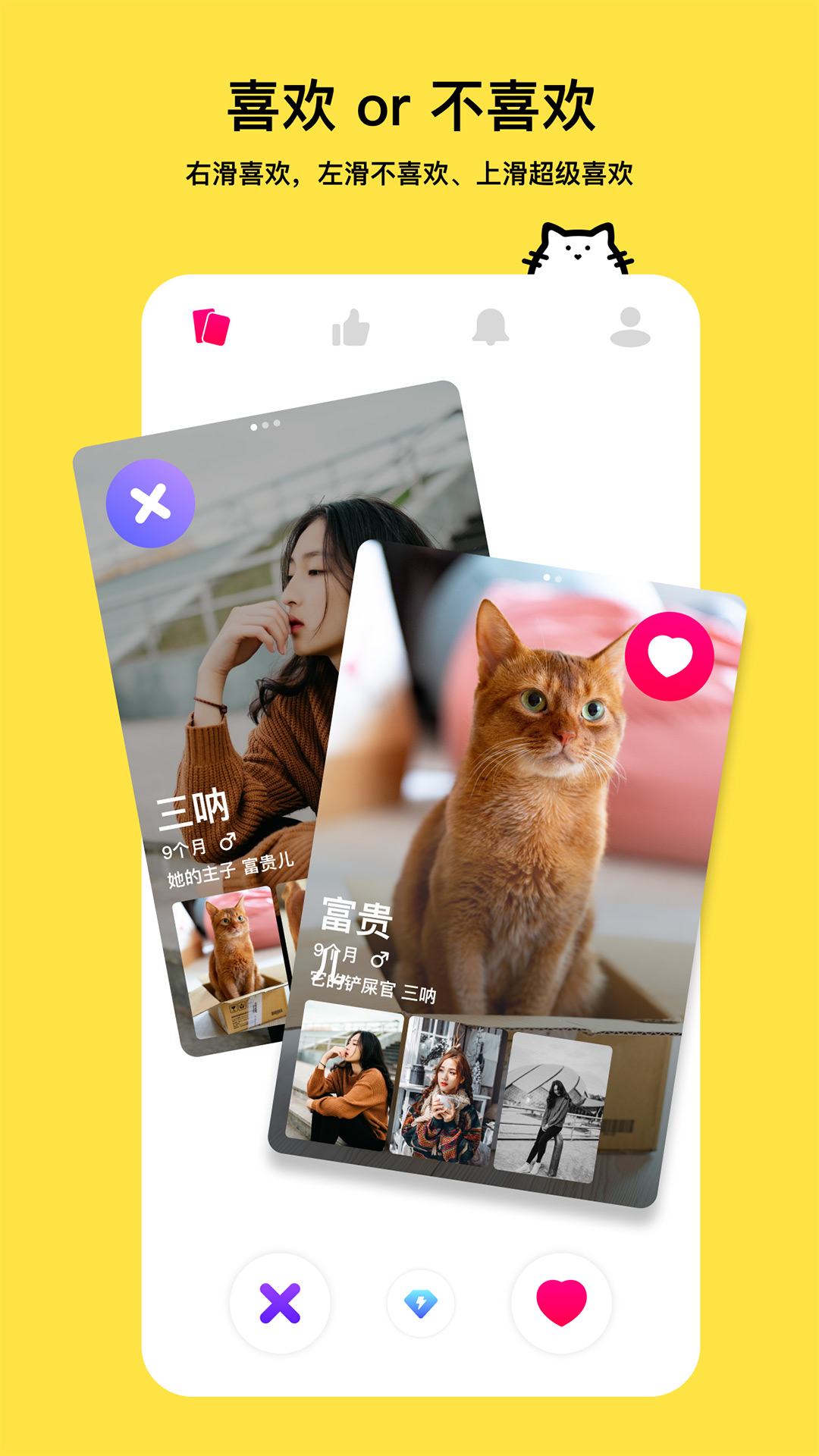 thinkpet宠物社交