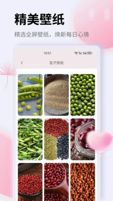 K豆(生活规划应用)