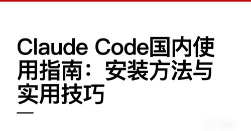 Claude Code国内使用指南：安装方法与实用技巧