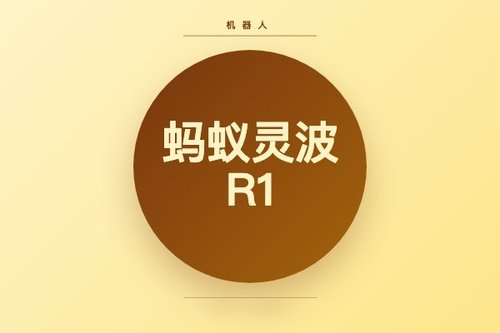 蚂蚁灵波R1机器人公司成立背景与产品技术特点介绍