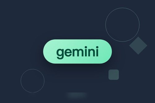 gemini 新加坡 详细解读