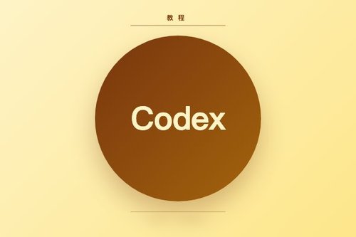 Codex 下载 操作流程 一步步走