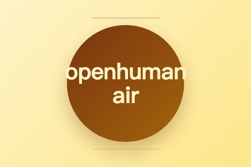 openhuman air 最新解析