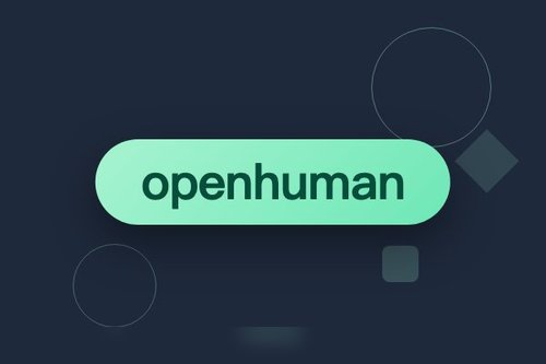 openhuman github使用 最新解析