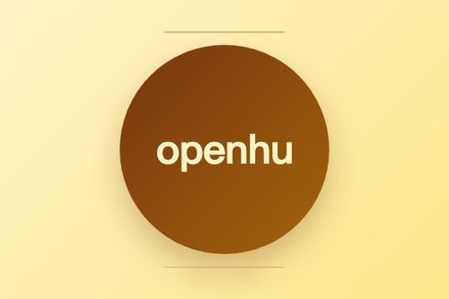 openhuman airlines 详细解读