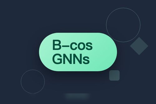 B-cos GNNs：通过动态线性性实现图神经网络忠实解释