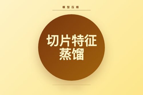 切片特征蒸馏实现神经网络快速张量化压缩