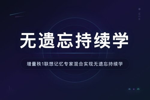增量秩1联想记忆专家混合实现无遗忘持续学习