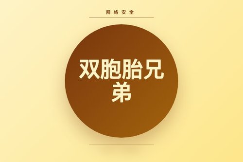 被解雇双胞胎兄弟狂删96个政府数据库