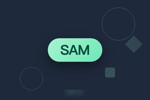 SAM提出不确定性-精度鲁棒关联解决域偏移掩码置信混淆