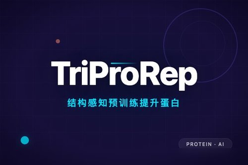 TriProRep结构感知预训练提升蛋白质结构预测