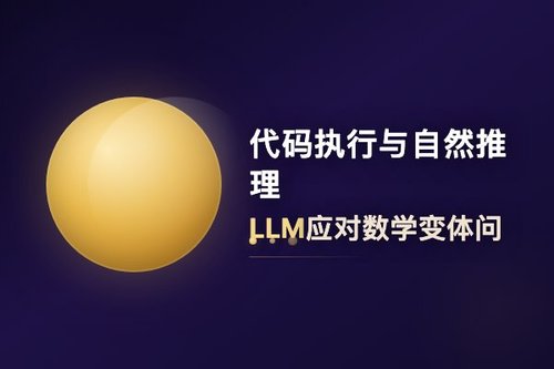 代码执行与自然推理：LLM应对数学变体问题的鲁棒性差异