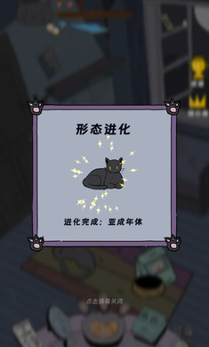 猫猫喵喵