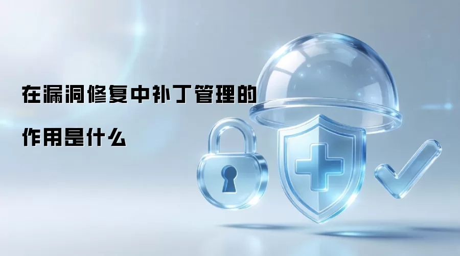 漏洞修复过程中补丁管理承担何种角色