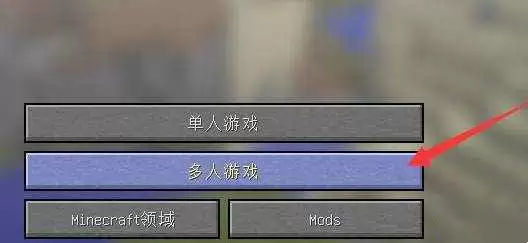 我的世界服务器IP如何正确输入