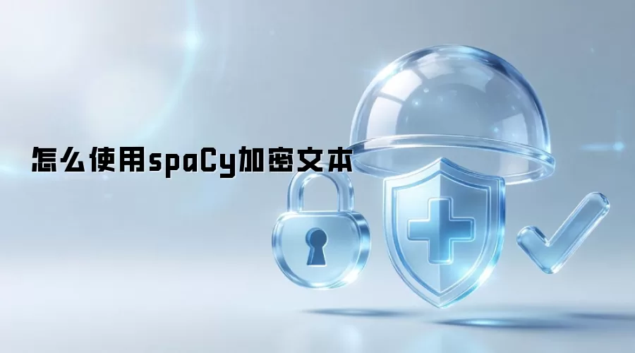如何使用spaCy进行文本加密