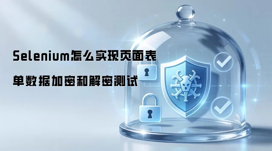 如何使用Selenium测试页面表单数据的加密与解密功能