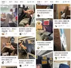 铁路12306如何举报占座行为