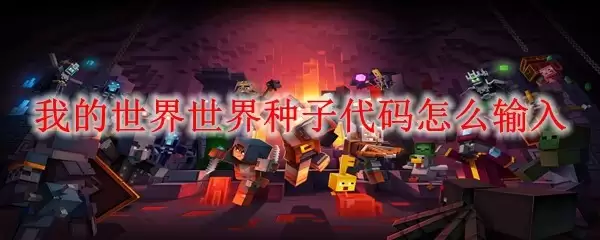 我的世界种子代码如何正确输入