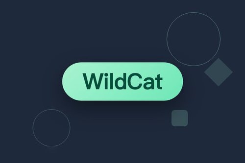 WildCat 提出加权核心集实现近线性注意力压缩