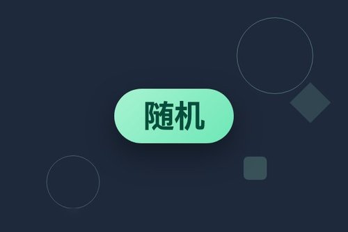 随机擦除对抗模型反转：有效防御还是空幻想？