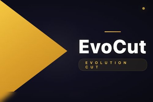 EvoCut：多层演化感知视觉令牌压缩，高效LVLM推理