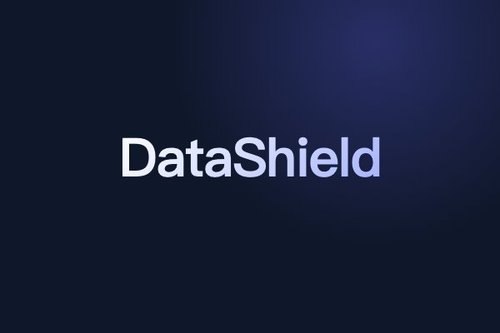 DataShield：高效过滤LLM良性微调中的安全降级数据