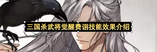 三国杀武将费诩觉醒技能效果介绍