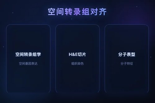 空间转录组学引导对齐增强病理基础模型分子剖析能力
