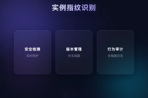 FLIPS：基于伪随机序列的LLM实例指纹识别方法