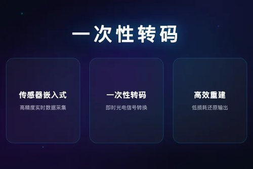 SEAOTTER：传感器嵌入式自动编码实现一次性转码高效重建