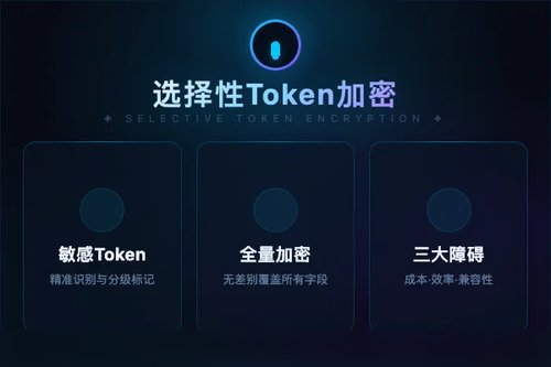 选择性Token级加密实现大语言模型临床部署隐私保护