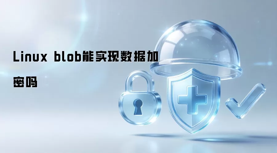 Linux blob能否实现数据加密