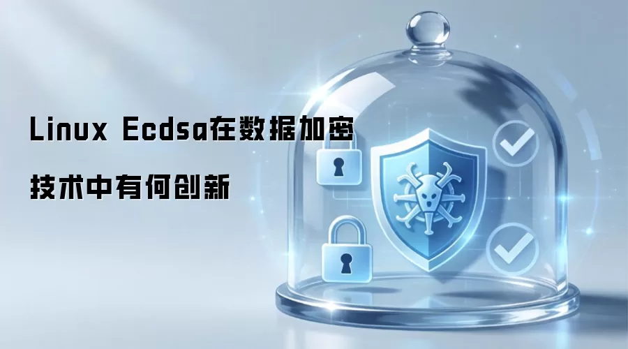 Linux Ecdsa在数据加密技术中创新何在