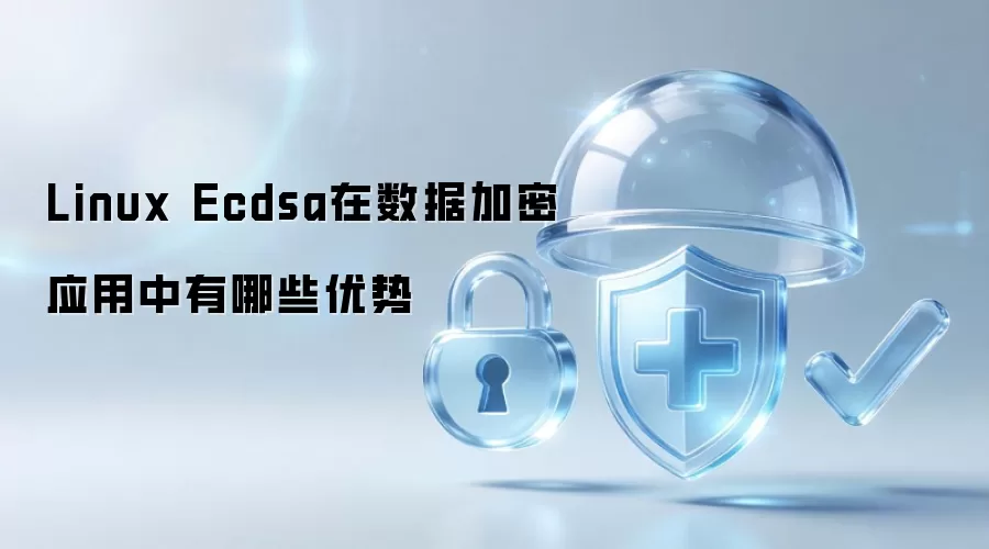 Linux Ecdsa在数据加密应用中的优势有哪些